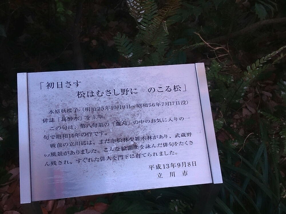 f:id:jerich:20190107052727j:plain f:id:jerich:20190107052727j:plain