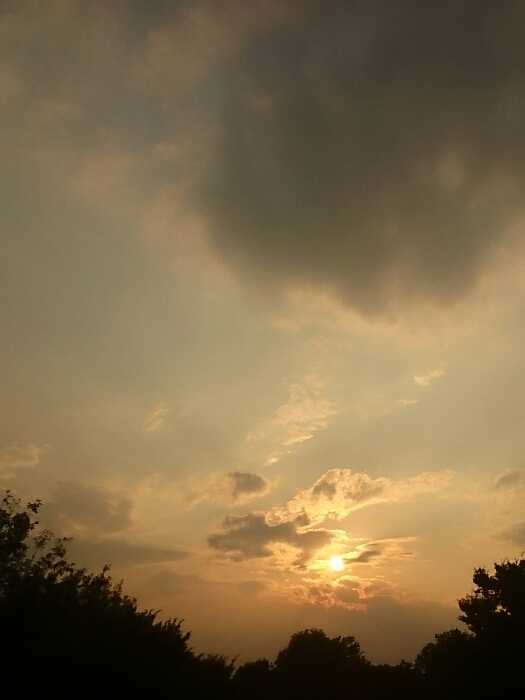 f:id:jerich:20190109021406j:plain f:id:jerich:20190109021406j:plain