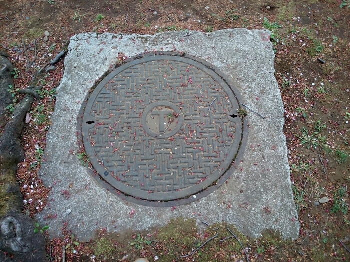 f:id:jerich:20190111081630j:plain f:id:jerich:20190111081630j:plain