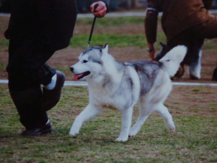 f:id:jerich:20190112070534j:plain