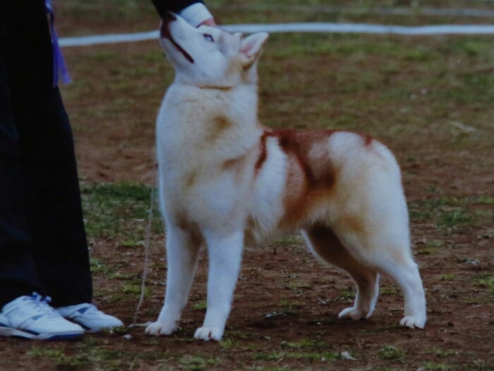 f:id:jerich:20190112071602j:plain