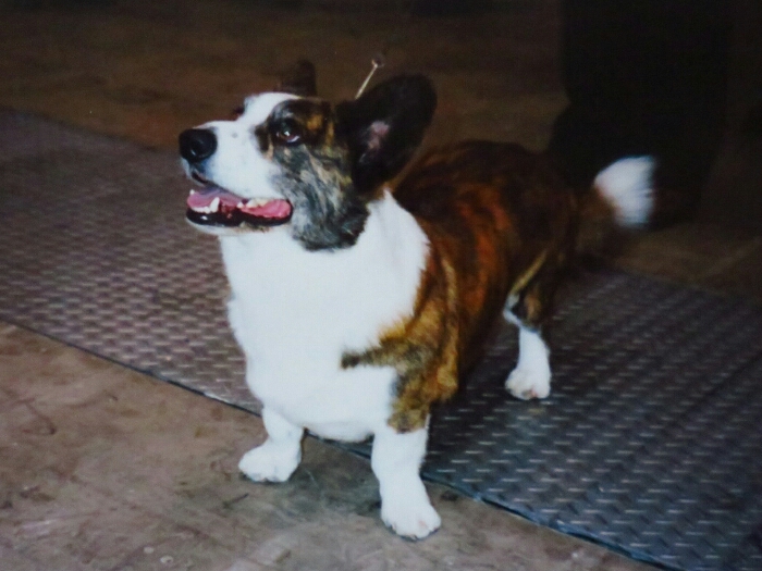 f:id:jerich:20190122073322j:plain