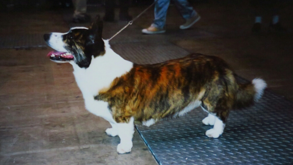 f:id:jerich:20190122073325j:plain