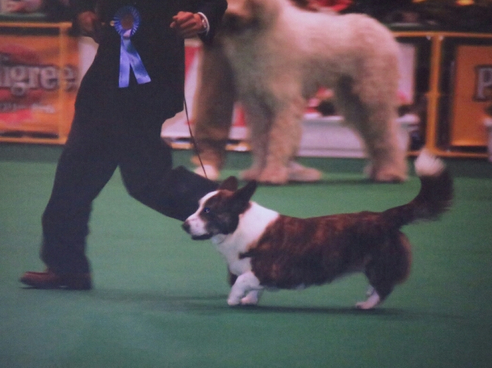 f:id:jerich:20190122073327j:plain