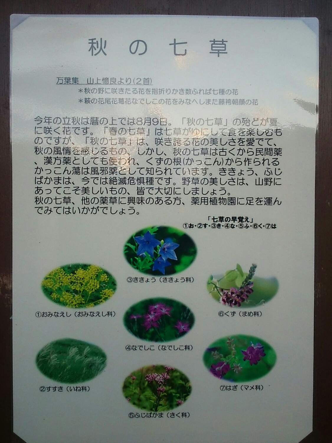f:id:jerich:20190123073608j:plain f:id:jerich:20190123073608j:plain
