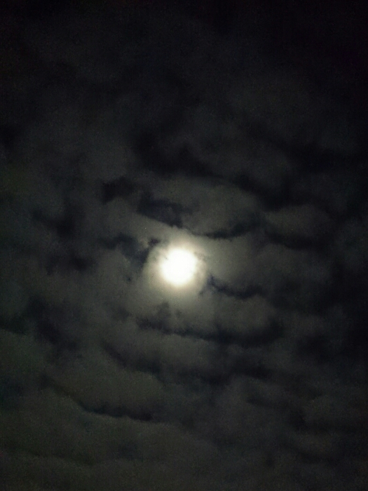 f:id:jerich:20190131075459j:plain