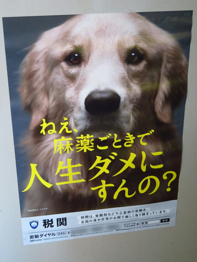 f:id:jerich:20190131203240j:plain
