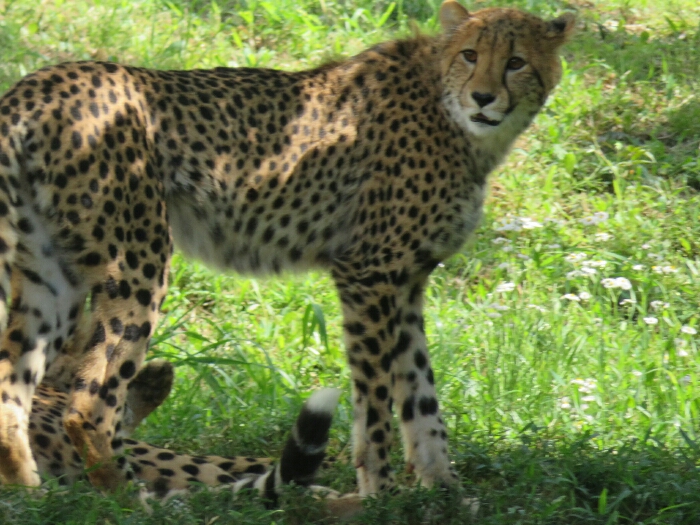 f:id:jerich:20190131234134j:plain