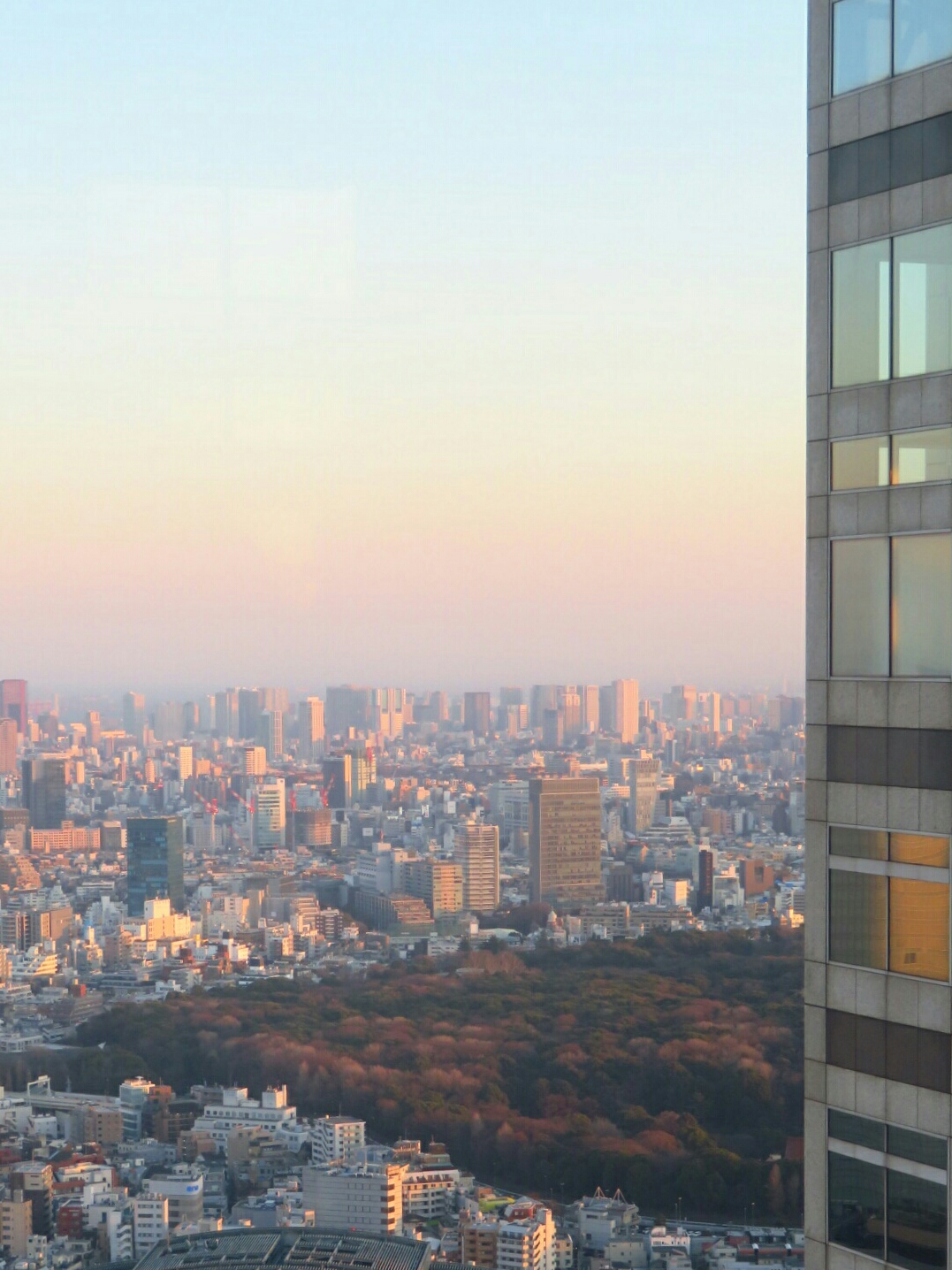 f:id:jerich:20190205081718j:image