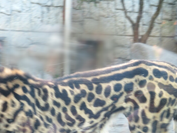 f:id:jerich:20190207073938j:plain