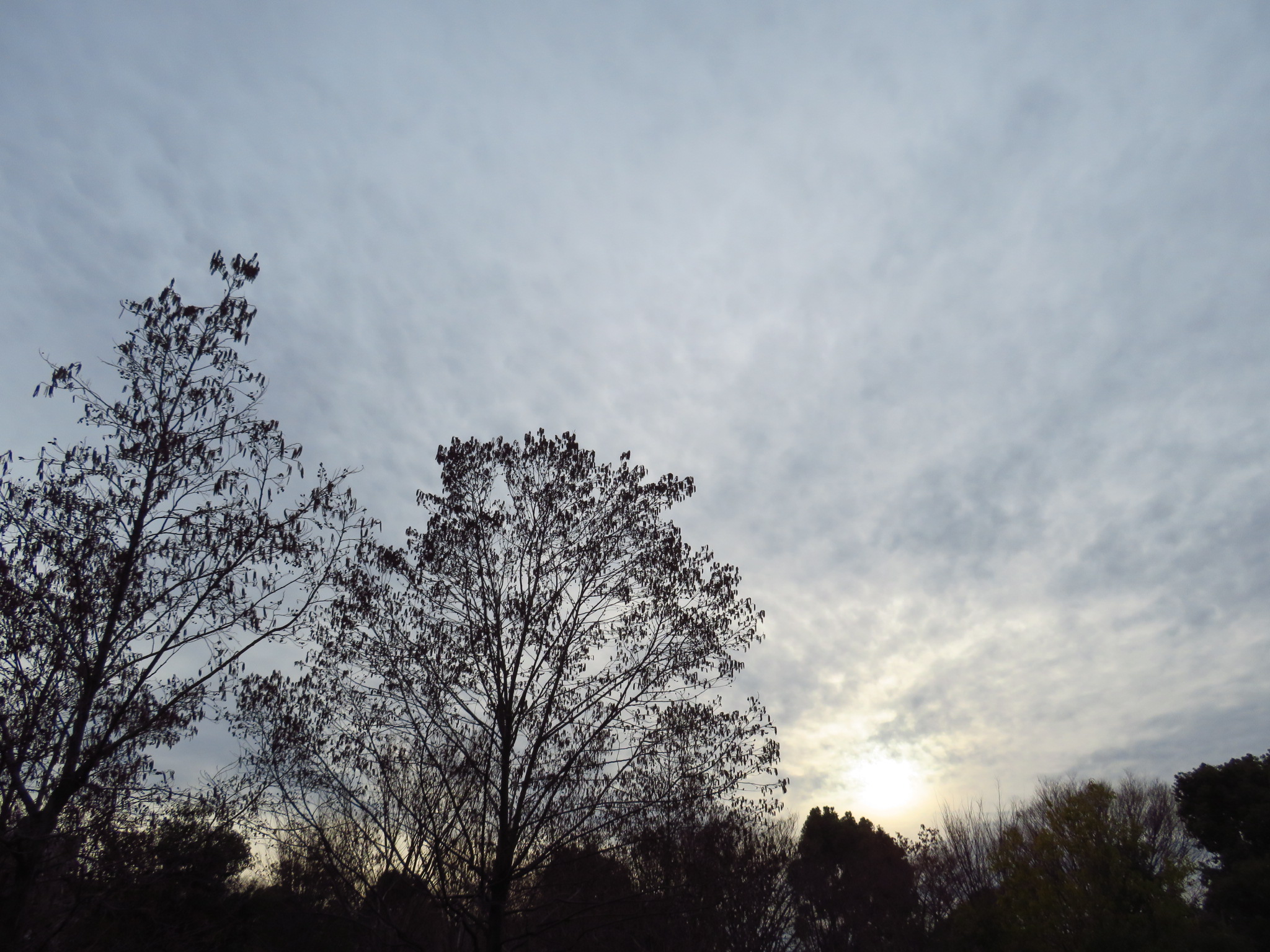 f:id:jerich:20190210075755j:image