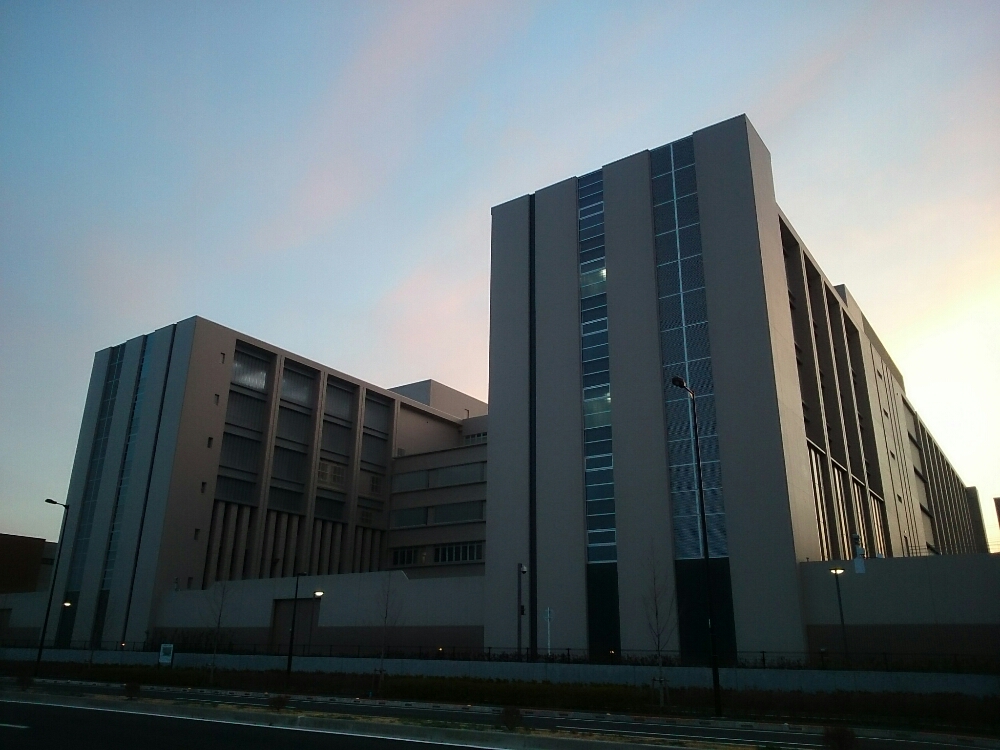 f:id:jerich:20190219030403j:plain