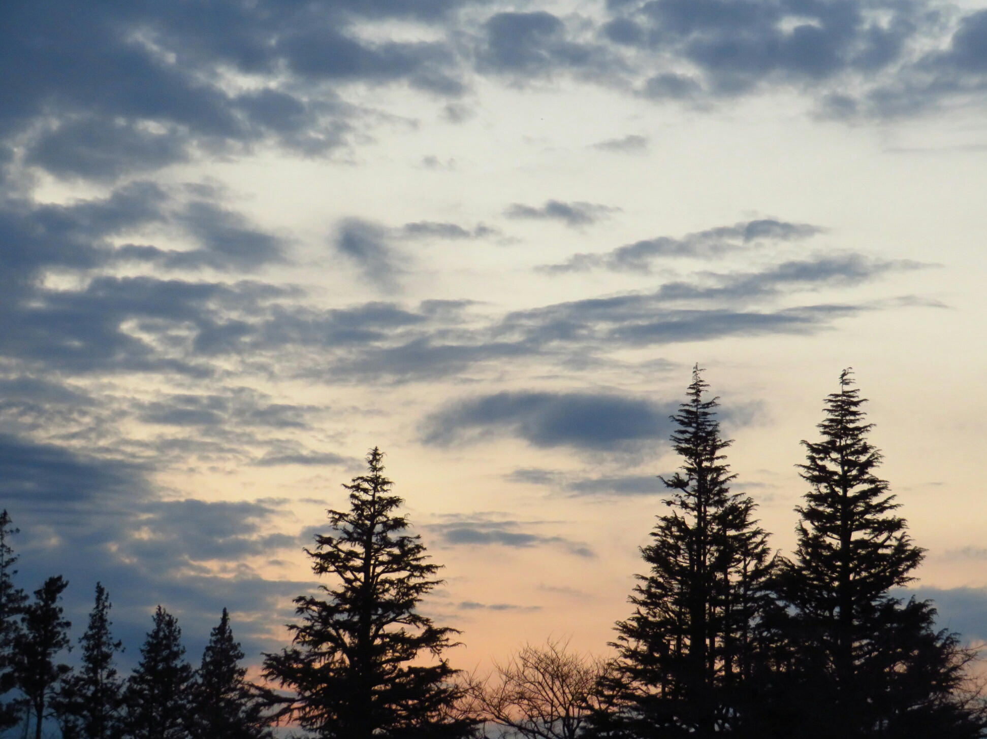 f:id:jerich:20190224080014j:image