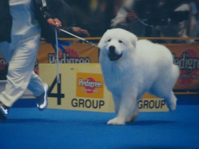 f:id:jerich:20190302032620j:plain