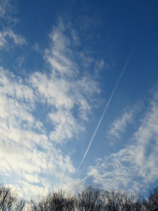 f:id:jerich:20190305080723j:plain