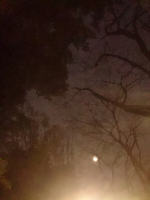 f:id:jerich:20190307042935j:plain f:id:jerich:20190307042935j:plain
