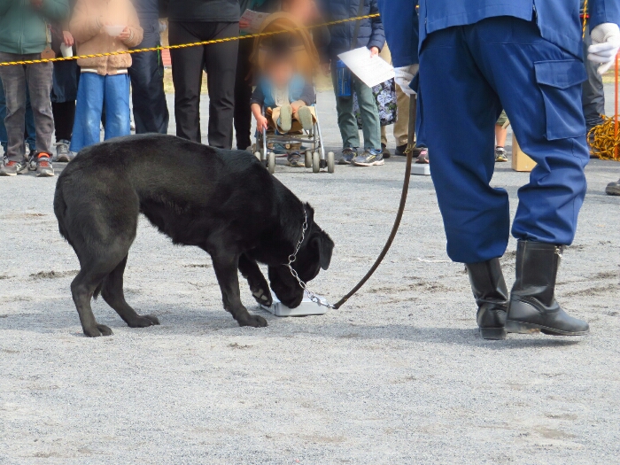 f:id:jerich:20190311084125j:plain