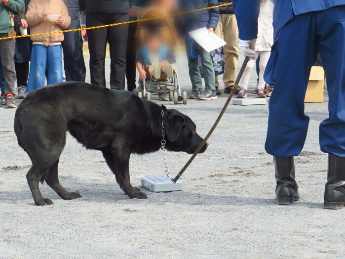 f:id:jerich:20190311084128j:plain