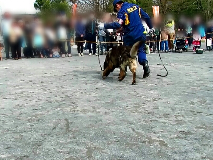 f:id:jerich:20190311183002j:plain