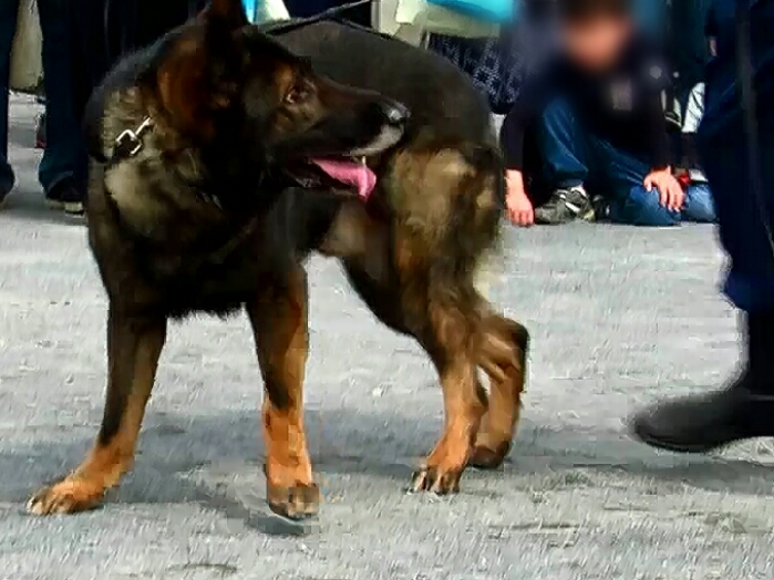 f:id:jerich:20190311183011j:plain