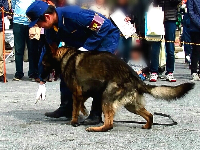 f:id:jerich:20190311183014j:plain