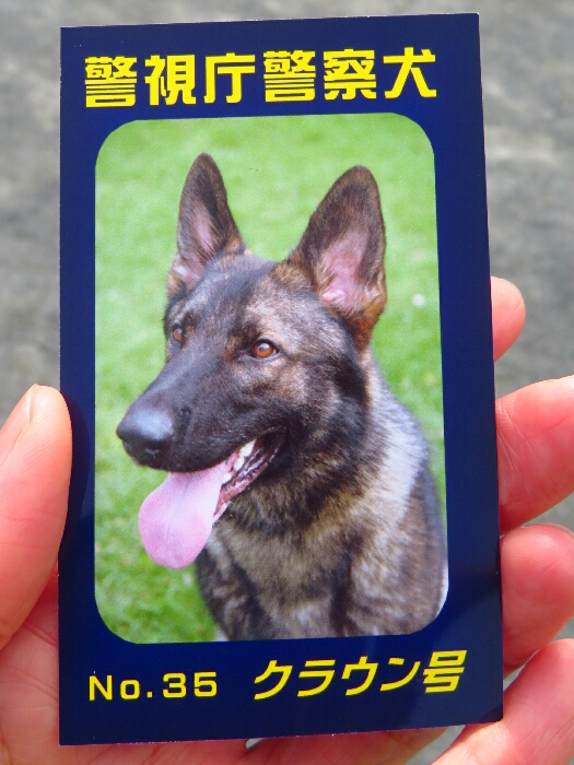 f:id:jerich:20190311183922j:plain