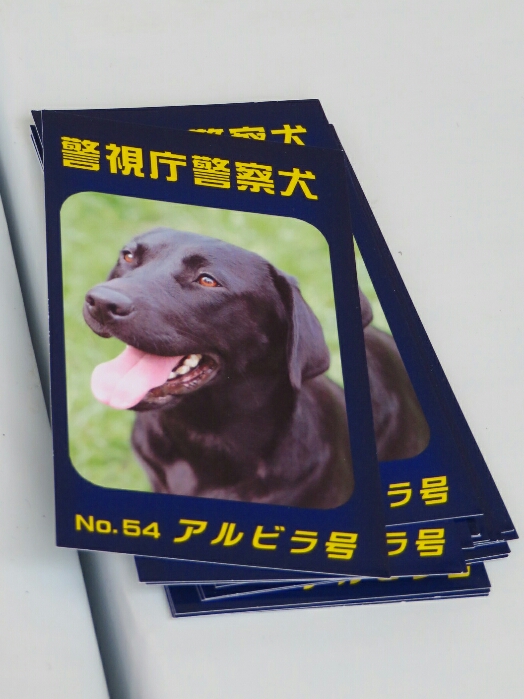 f:id:jerich:20190311183925j:plain