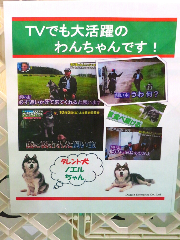 f:id:jerich:20190314092357j:plain