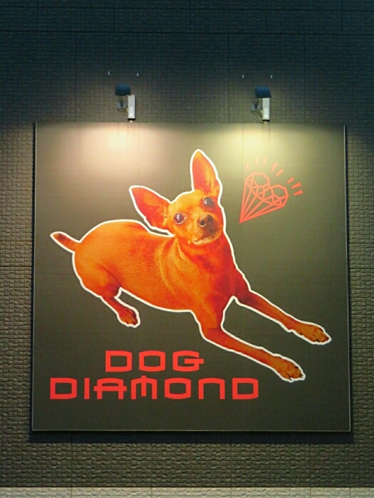 f:id:jerich:20190314121622j:plain