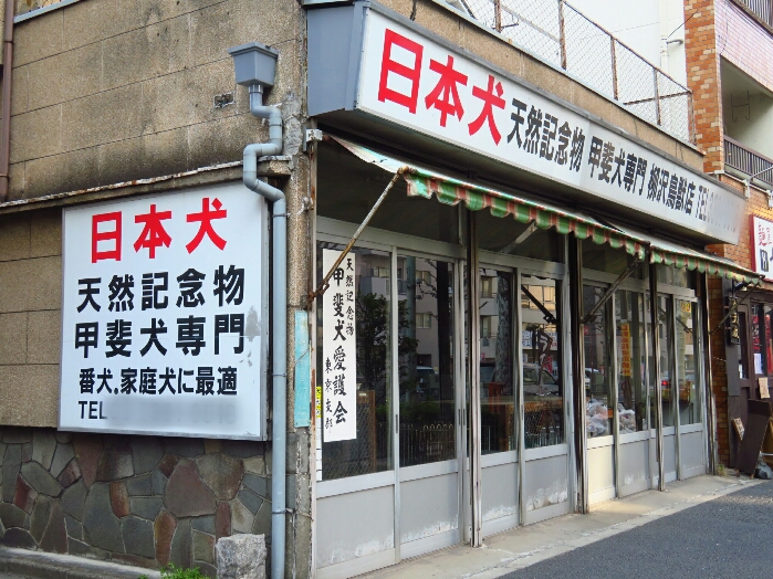 f:id:jerich:20190314121625j:plain