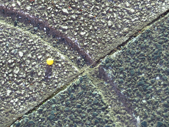 f:id:jerich:20190317082811j:plain