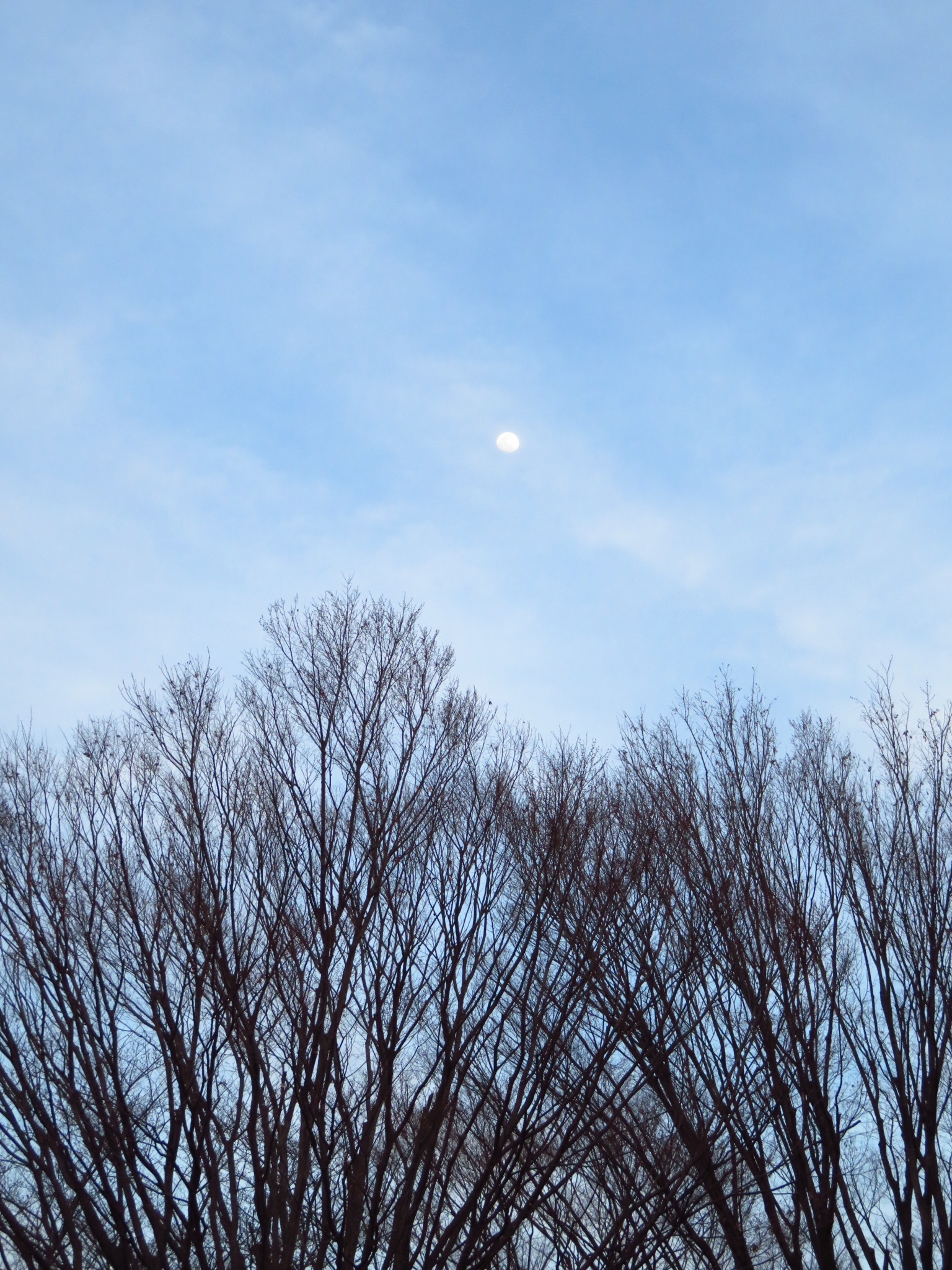 f:id:jerich:20190321012338j:image