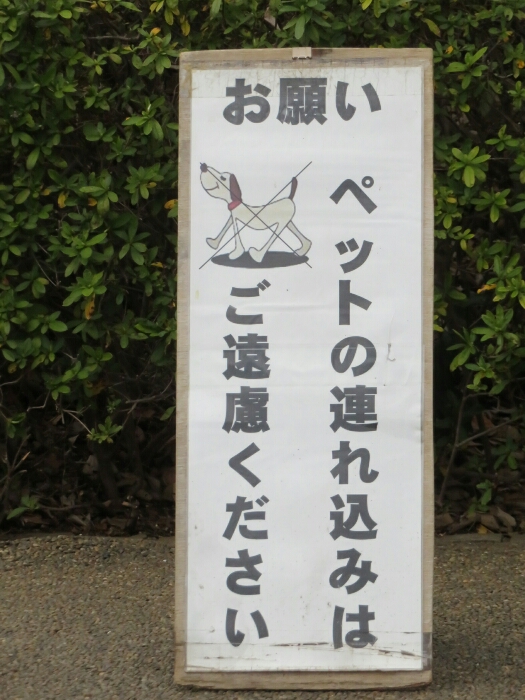 f:id:jerich:20190324020849j:plain f:id:jerich:20190324020849j:plain
