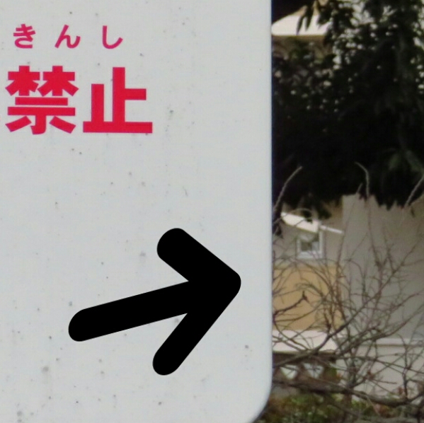 f:id:jerich:20190324020854j:plain f:id:jerich:20190324020854j:plain