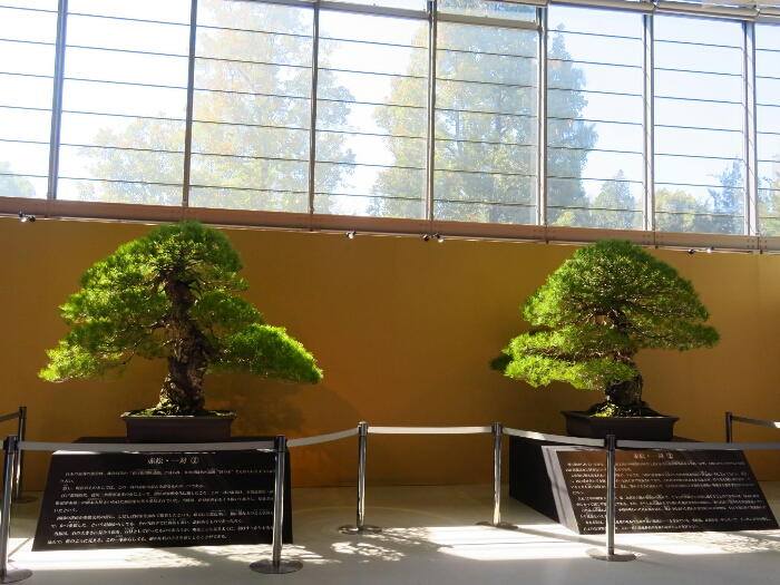 f:id:jerich:20190326020456j:plain f:id:jerich:20190326020456j:plain