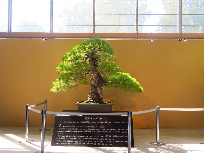 f:id:jerich:20190326020459j:plain f:id:jerich:20190326020459j:plain