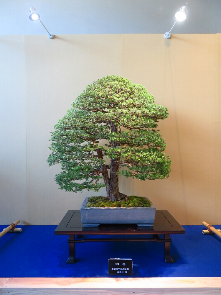 f:id:jerich:20190326021707j:plain f:id:jerich:20190326021707j:plain