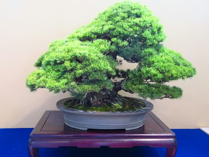 f:id:jerich:20190326030304j:plain f:id:jerich:20190326030304j:plain