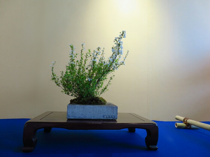 f:id:jerich:20190326030317j:plain f:id:jerich:20190326030317j:plain
