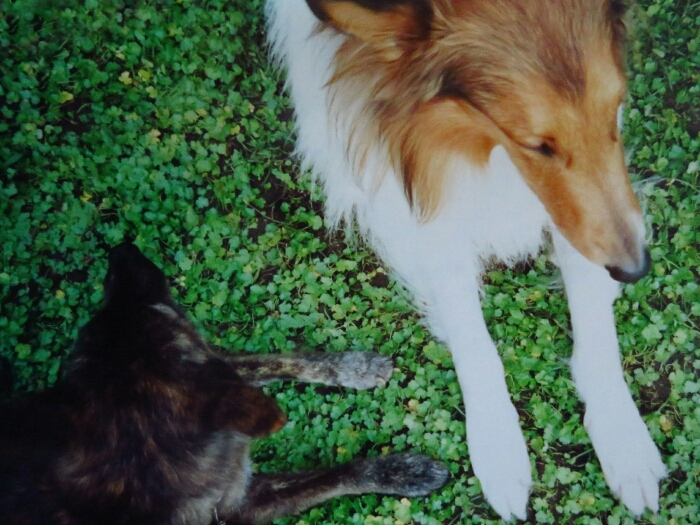 f:id:jerich:20190327090255j:plain