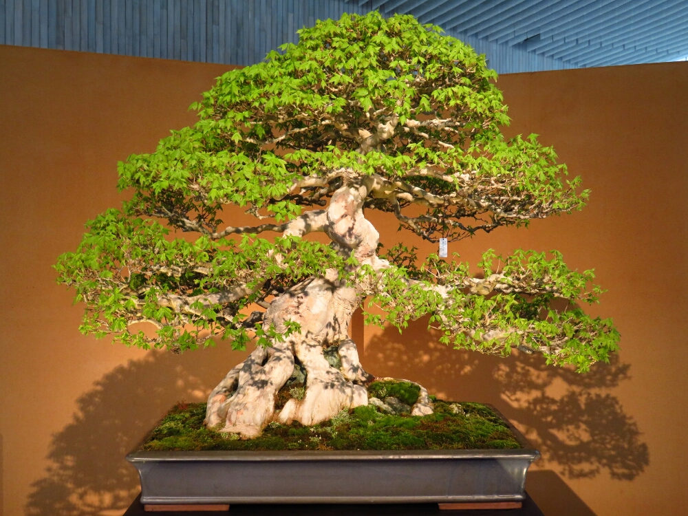 f:id:jerich:20190327180525j:plain