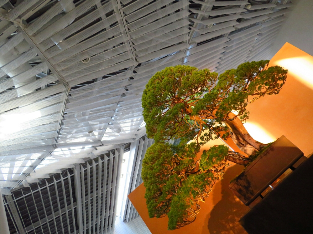 f:id:jerich:20190327180532j:plain