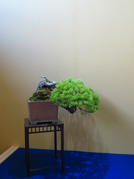 f:id:jerich:20190327185123j:plain