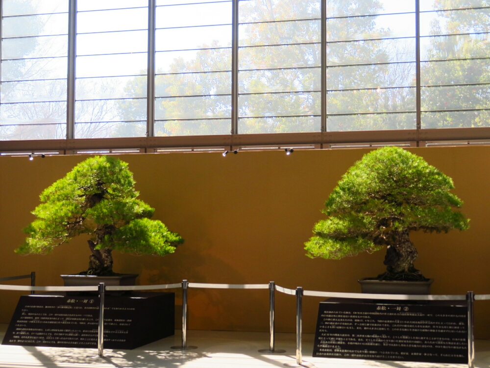 f:id:jerich:20190327185125j:plain