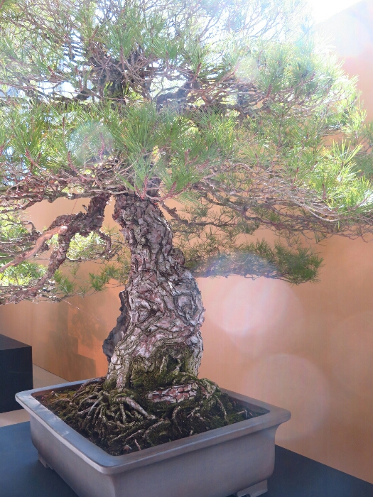 f:id:jerich:20190327185129j:plain