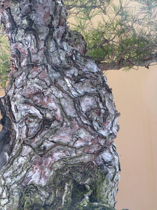 f:id:jerich:20190327185132j:plain