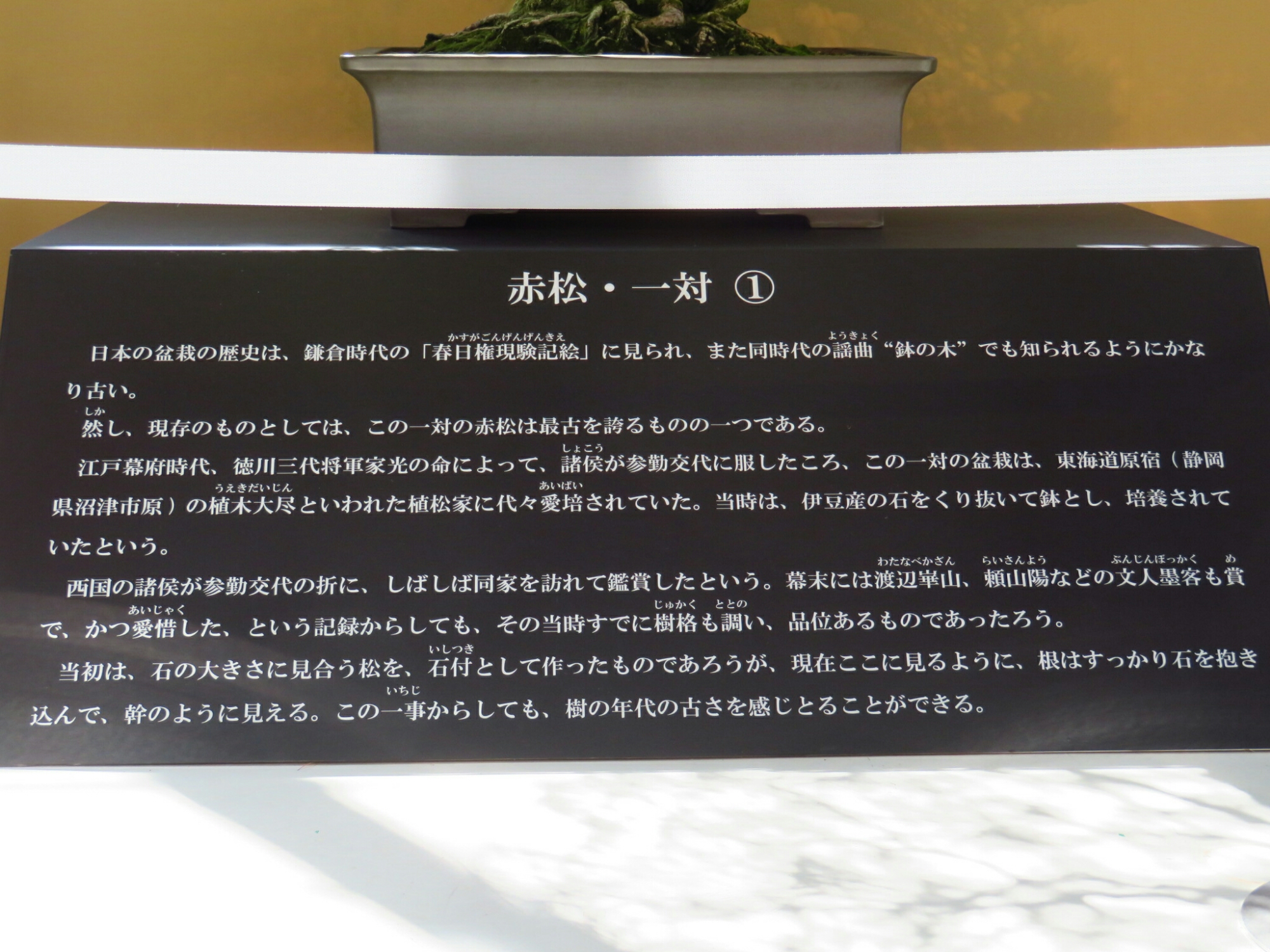 f:id:jerich:20190327185135j:plain