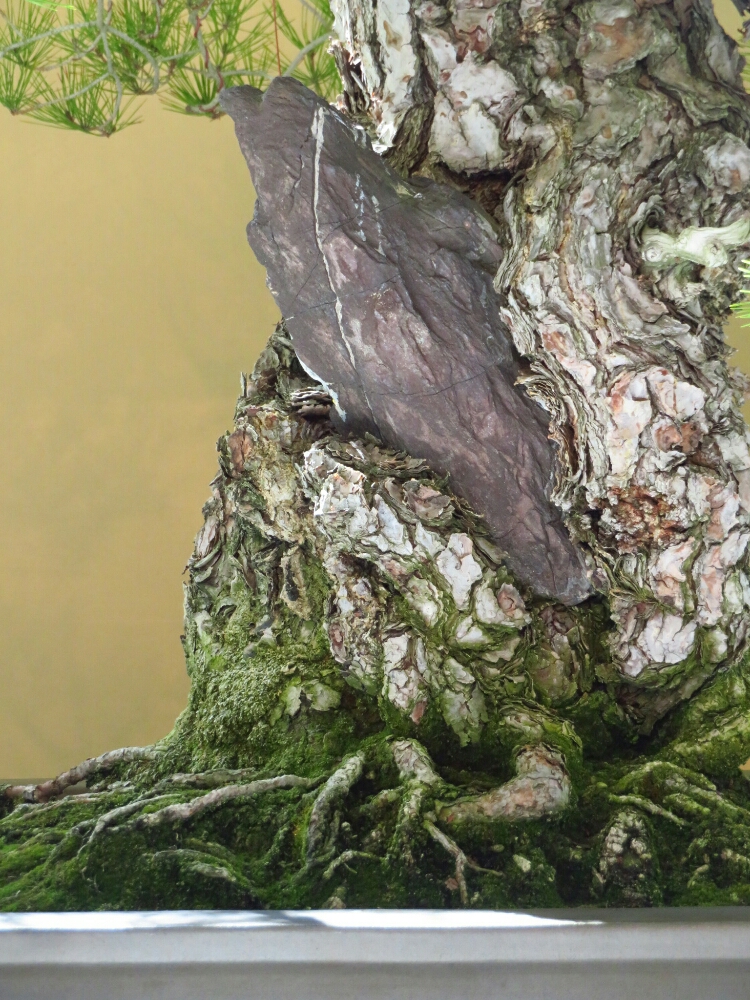 f:id:jerich:20190327191457j:plain