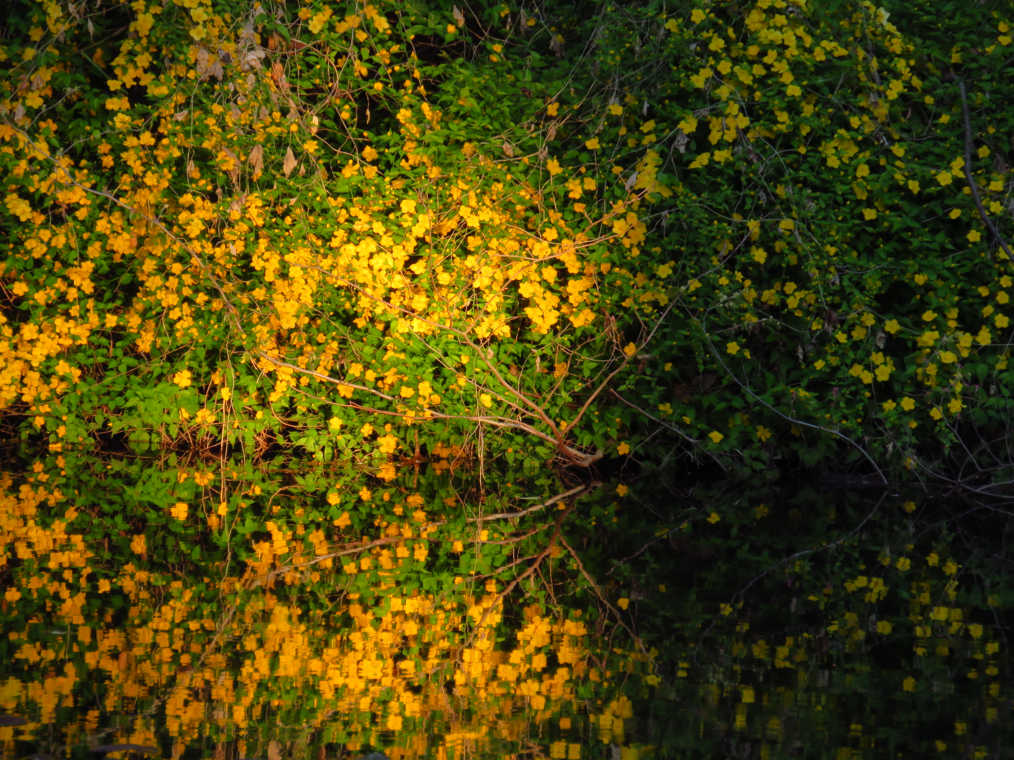 f:id:jerich:20190405073225j:image