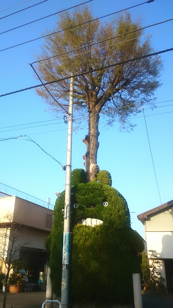 f:id:jerich:20190405122703j:plain f:id:jerich:20190405122703j:plain